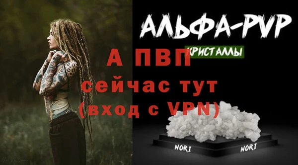 стаф Абинск