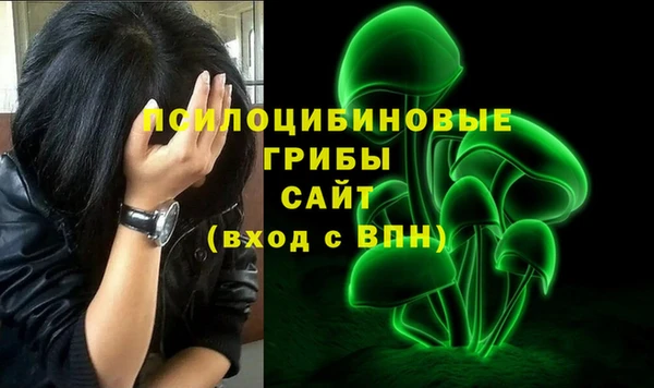стаф Абинск