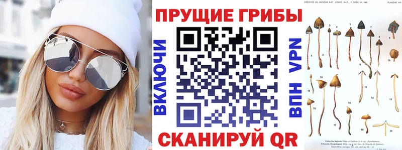 нарко площадка Telegram  MEGA как войти  Череповец  Галлюциногенные грибы Cubensis 